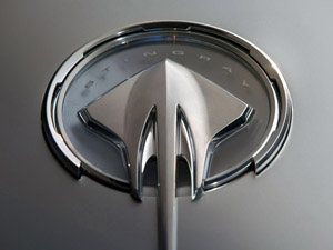 09stingraylogo.jpg